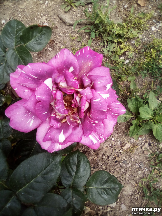 ���� 20: ��� ��� ���������