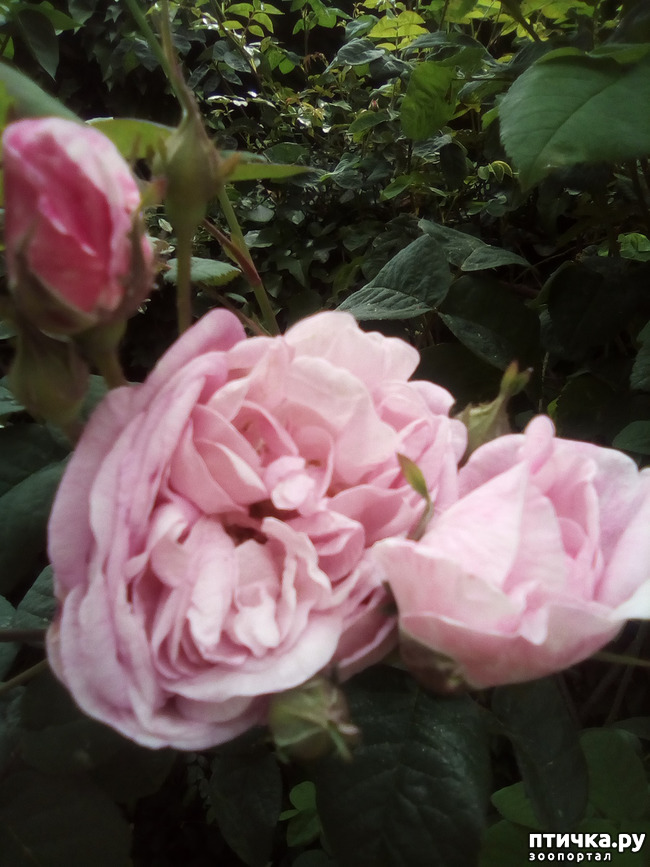 ���� 22: ��� ��� ���������