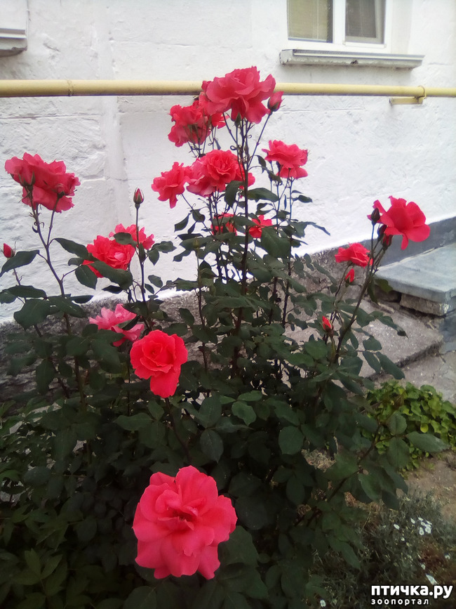 ���� 24: ��� ��� ���������