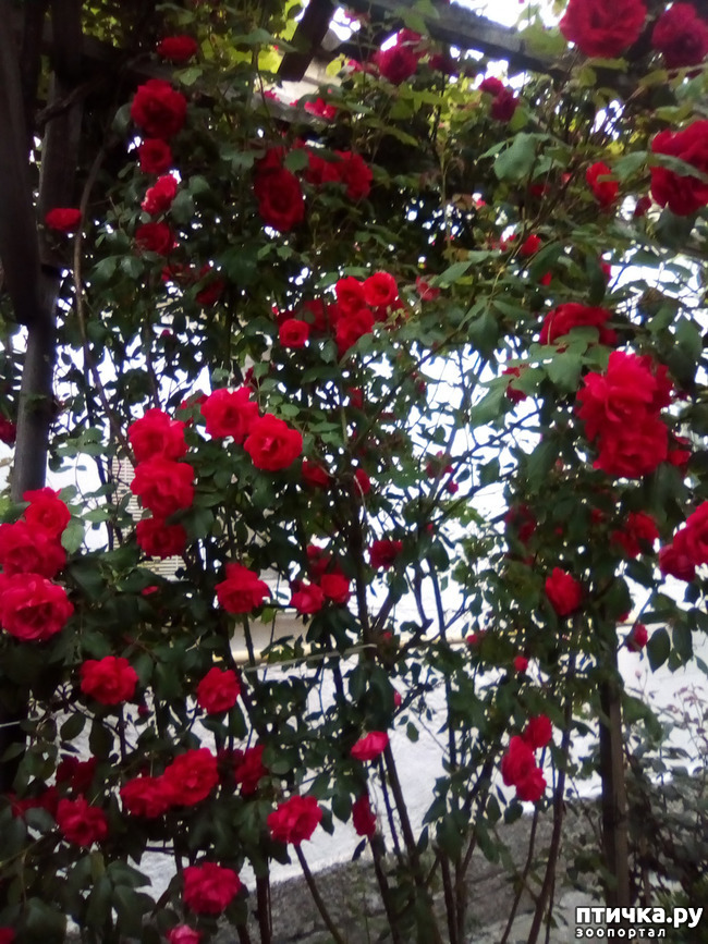 ���� 25: ��� ��� ���������