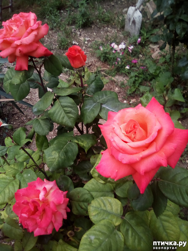 ���� 27: ��� ��� ���������