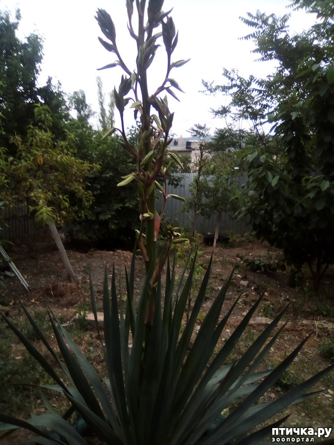 ���� 28: ��� ��� ���������