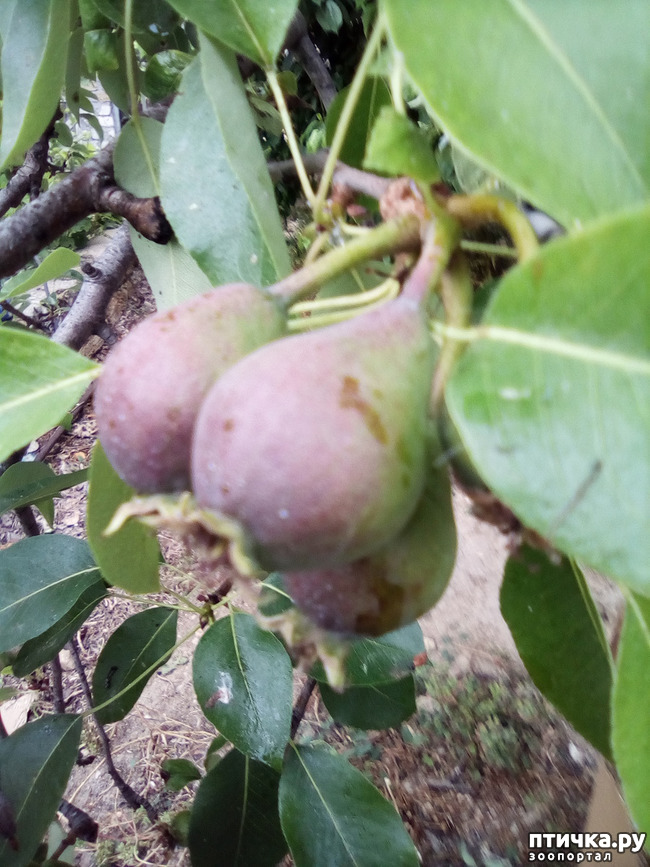 ���� 29: ��� ��� ���������