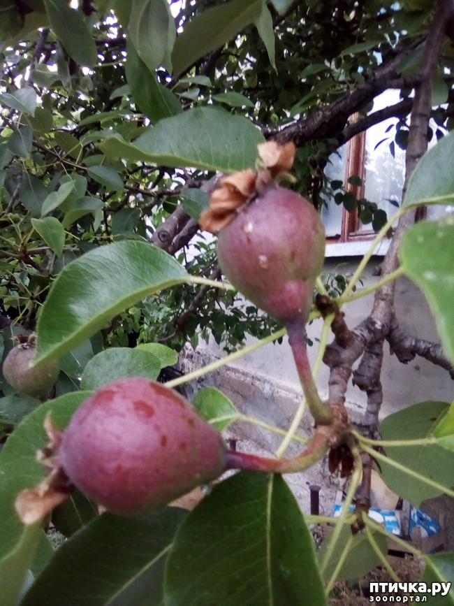 ���� 30: ��� ��� ���������