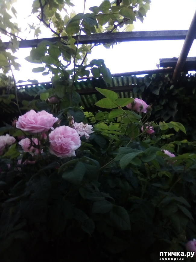 ���� 23: ��� ��� ���������