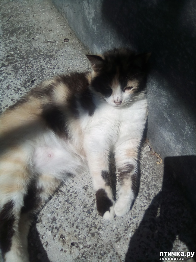 ���� 32: ��� ��� ���������