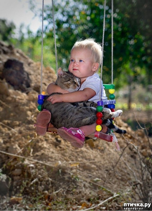 ���� 1: � ����� ������� ������