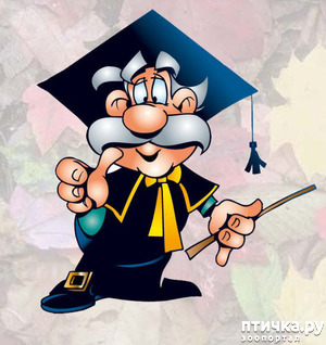 ����: ����� �����