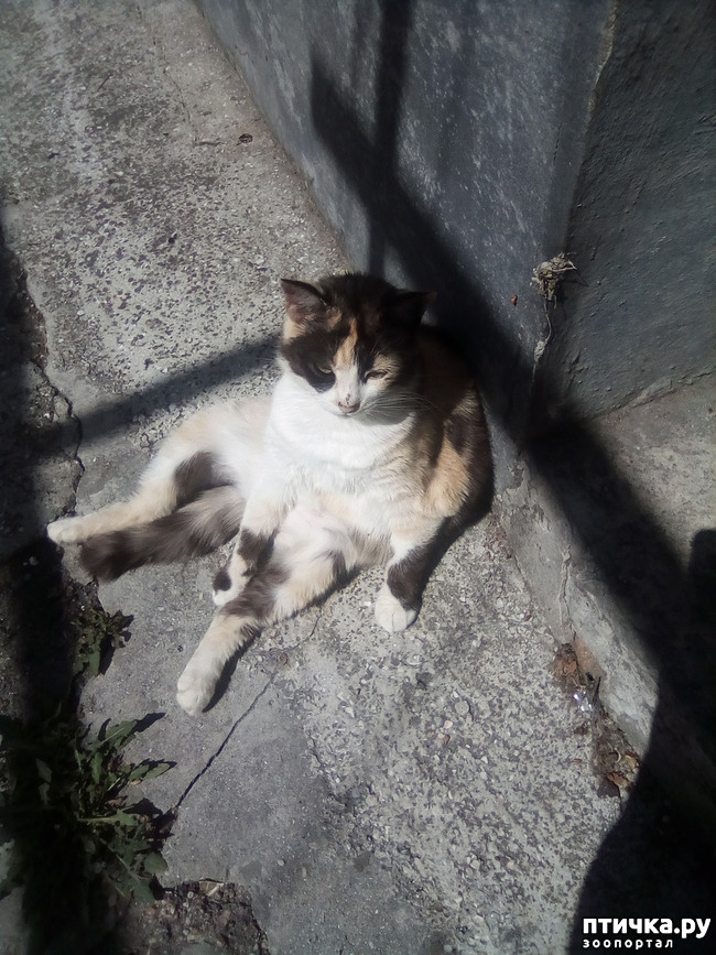 ���� 33: ��� ��� ���������