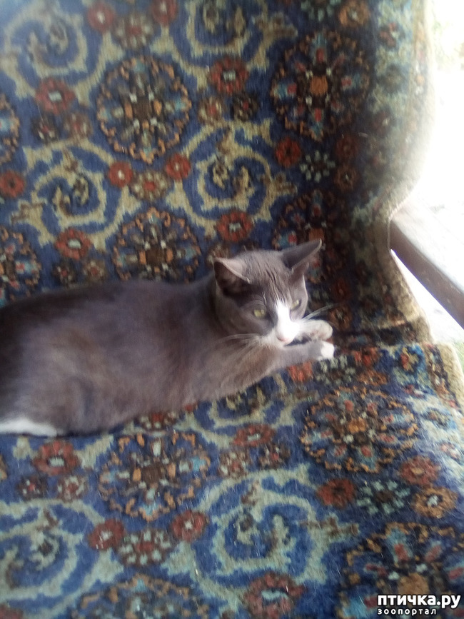 ���� 34: ��� ��� ���������