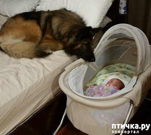 ����: ������, ������� ��� ��� �� ����� ������