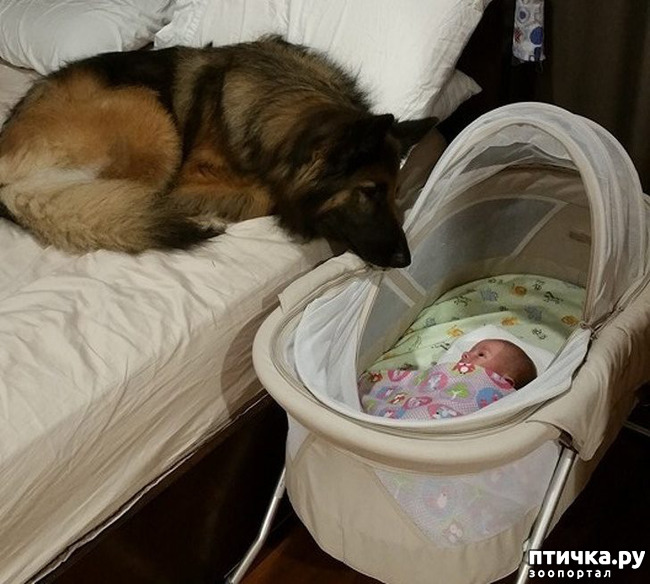 ���� 1: ������, ������� ��� ��� �� ����� ������