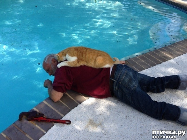 ���� 4: � ����� ������� ������