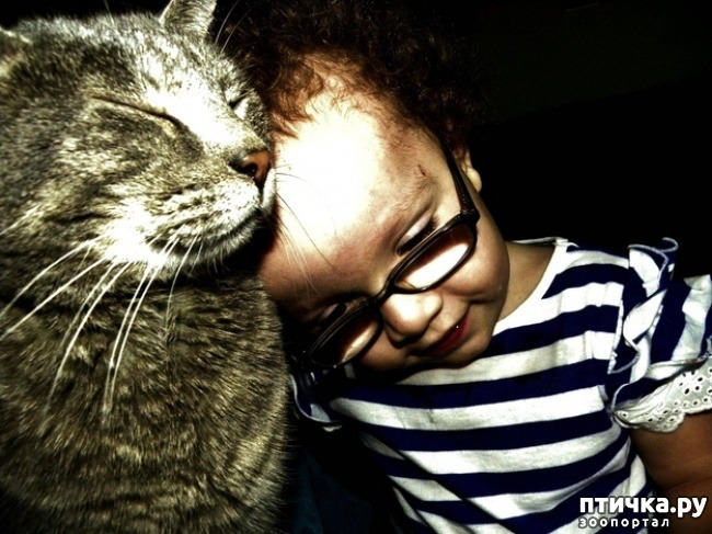 ���� 5: � ����� ������� ������