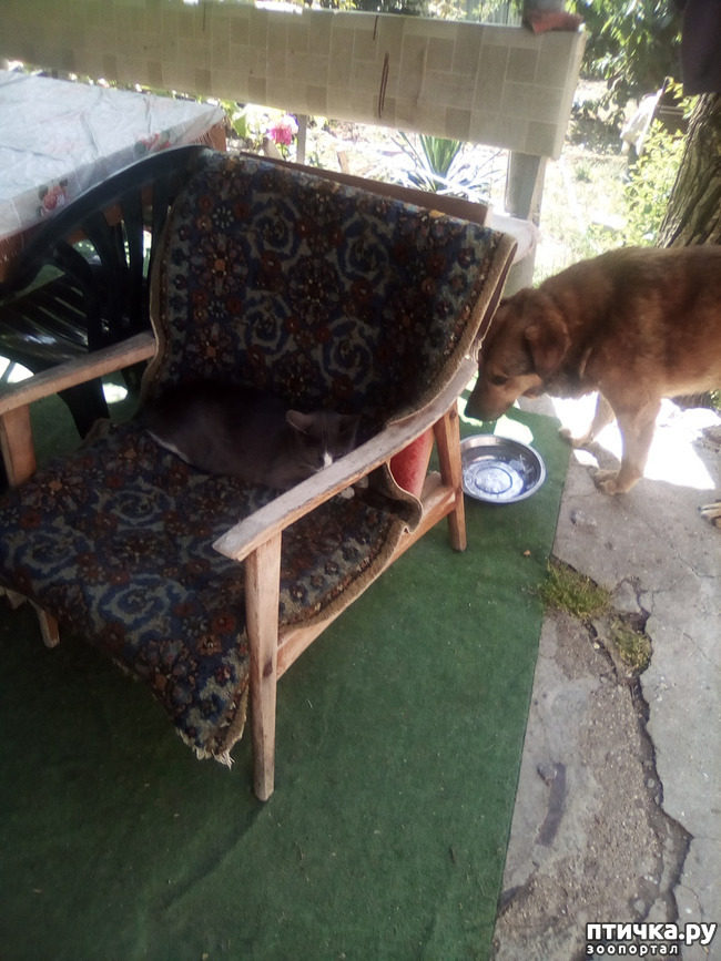 ���� 35: ��� ��� ���������