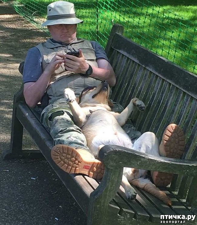 ���� 3: ������, ������� ��� ��� �� ����� ������