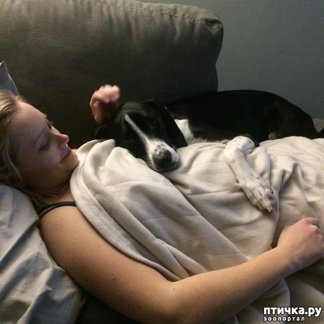 ���� 4: ������, ������� ��� ��� �� ����� ������