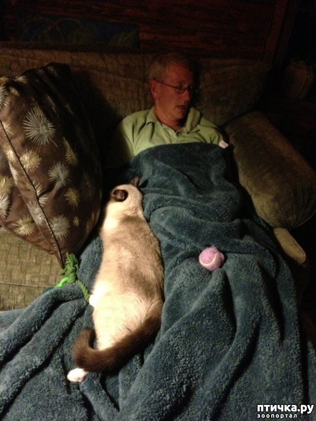 ���� 6: � ����� ������� ������