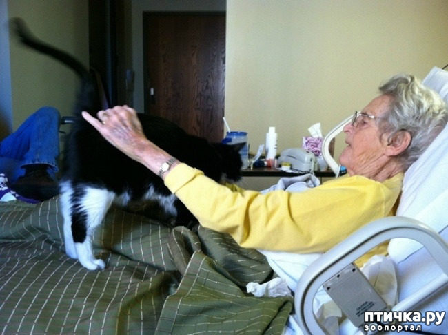 ���� 7: � ����� ������� ������