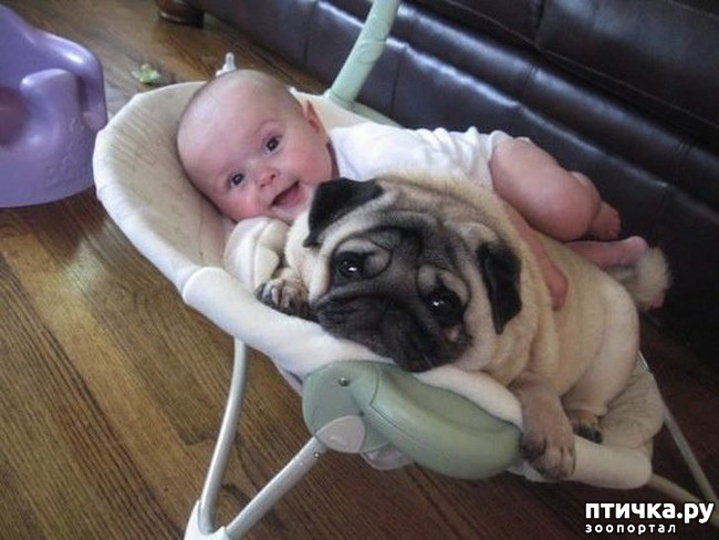 ���� 6: ������, ������� ��� ��� �� ����� ������