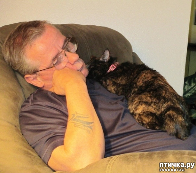 ���� 8: � ����� ������� ������