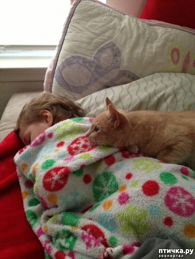 ���� 9: � ����� ������� ������