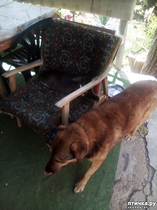 ���� 36: ��� ��� ���������