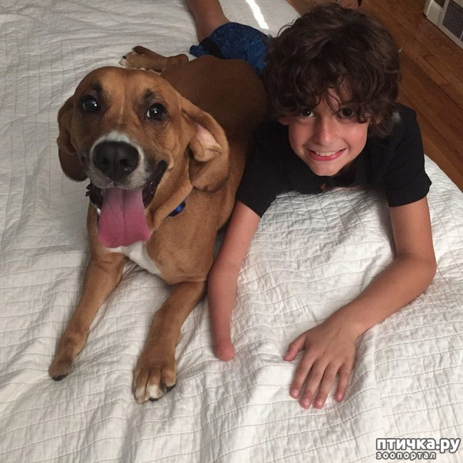 ���� 7: ������, ������� ��� ��� �� ����� ������