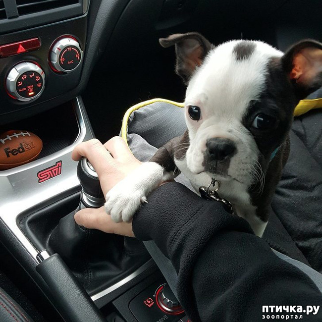 ���� 8: ������, ������� ��� ��� �� ����� ������