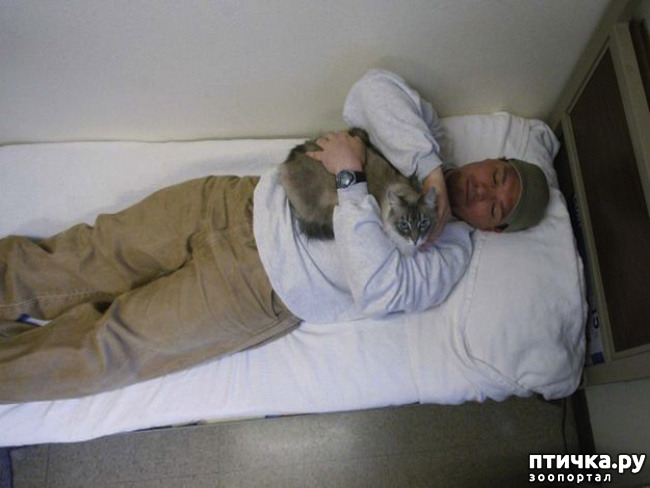 ���� 10: � ����� ������� ������