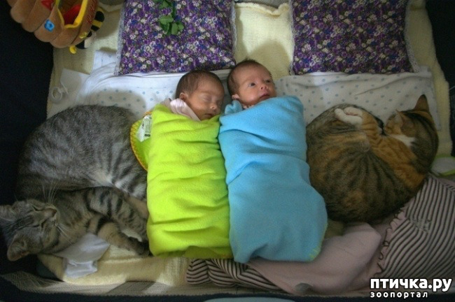 ���� 11: � ����� ������� ������