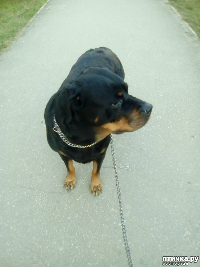 ���� 1: ���������