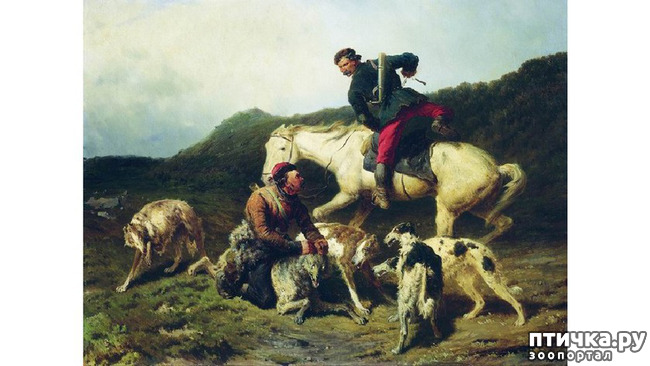 ���� 1: ���� �� �����