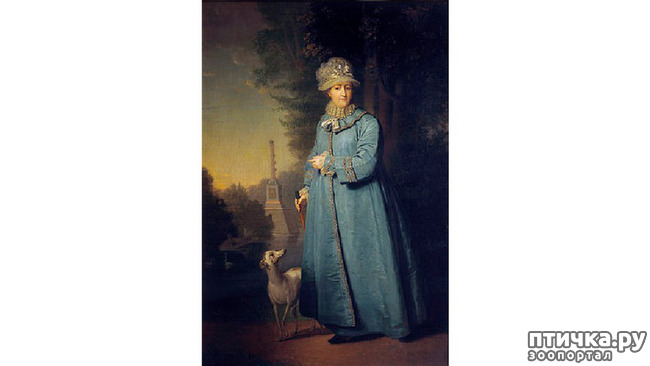 ���� 2: ���� �� �����