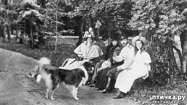 ���� 3: ���� �� �����