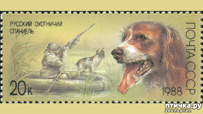 ���� 4: ���� �� �����