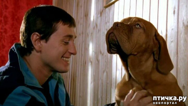 ���� 5: ���� �� �����