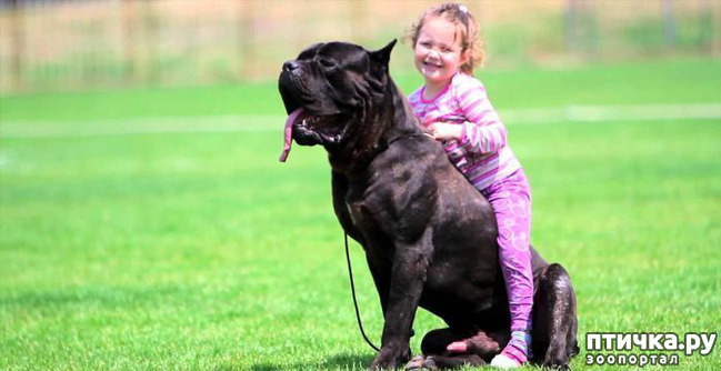 ���� 6: ���� �� �����