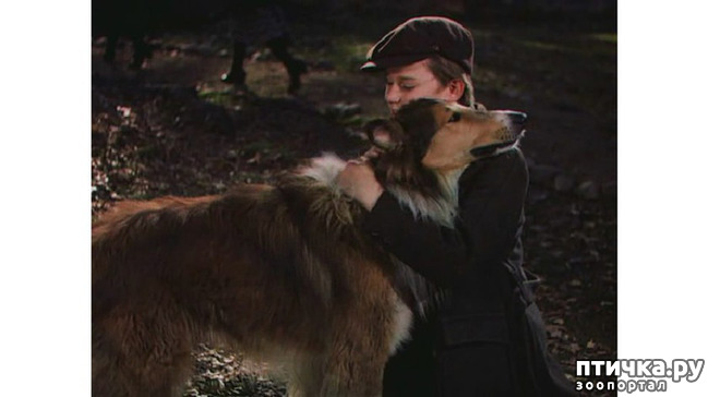 ���� 7: ���� �� �����