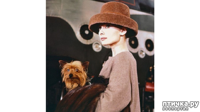 ���� 8: ���� �� �����