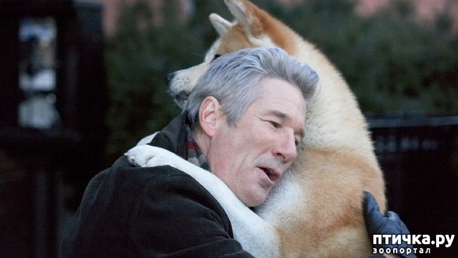 ���� 10: ���� �� �����