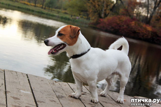 ���� 12: ���� �� �����