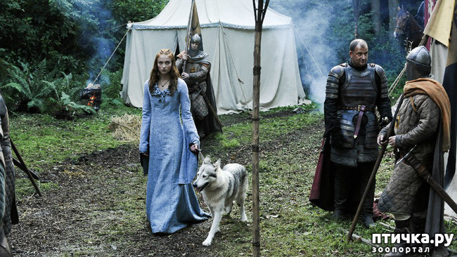 ���� 13: ���� �� �����