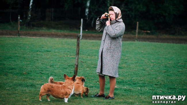 ���� 14: ���� �� �����