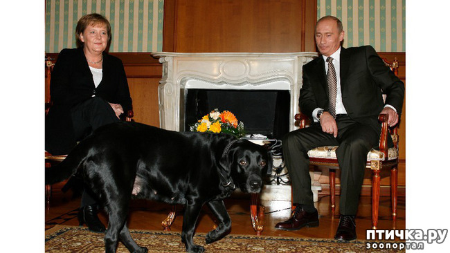 ���� 15: ���� �� �����