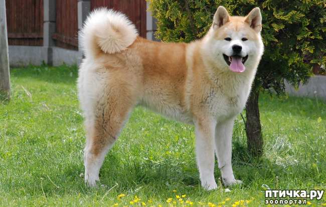 ���� 16: ���� �� �����