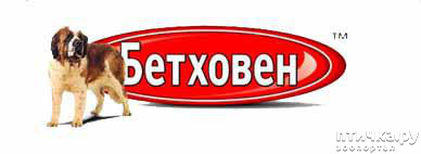 ���� 11: ���� �� �����