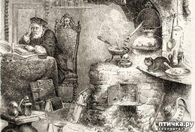 ���� 1: ������� ����. ������� ������ ��������.