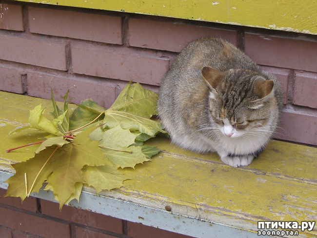 ���� 1: �������