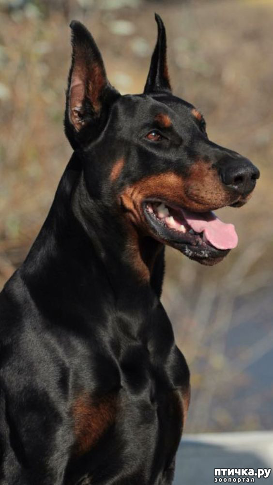 ���� 9: ������ ������